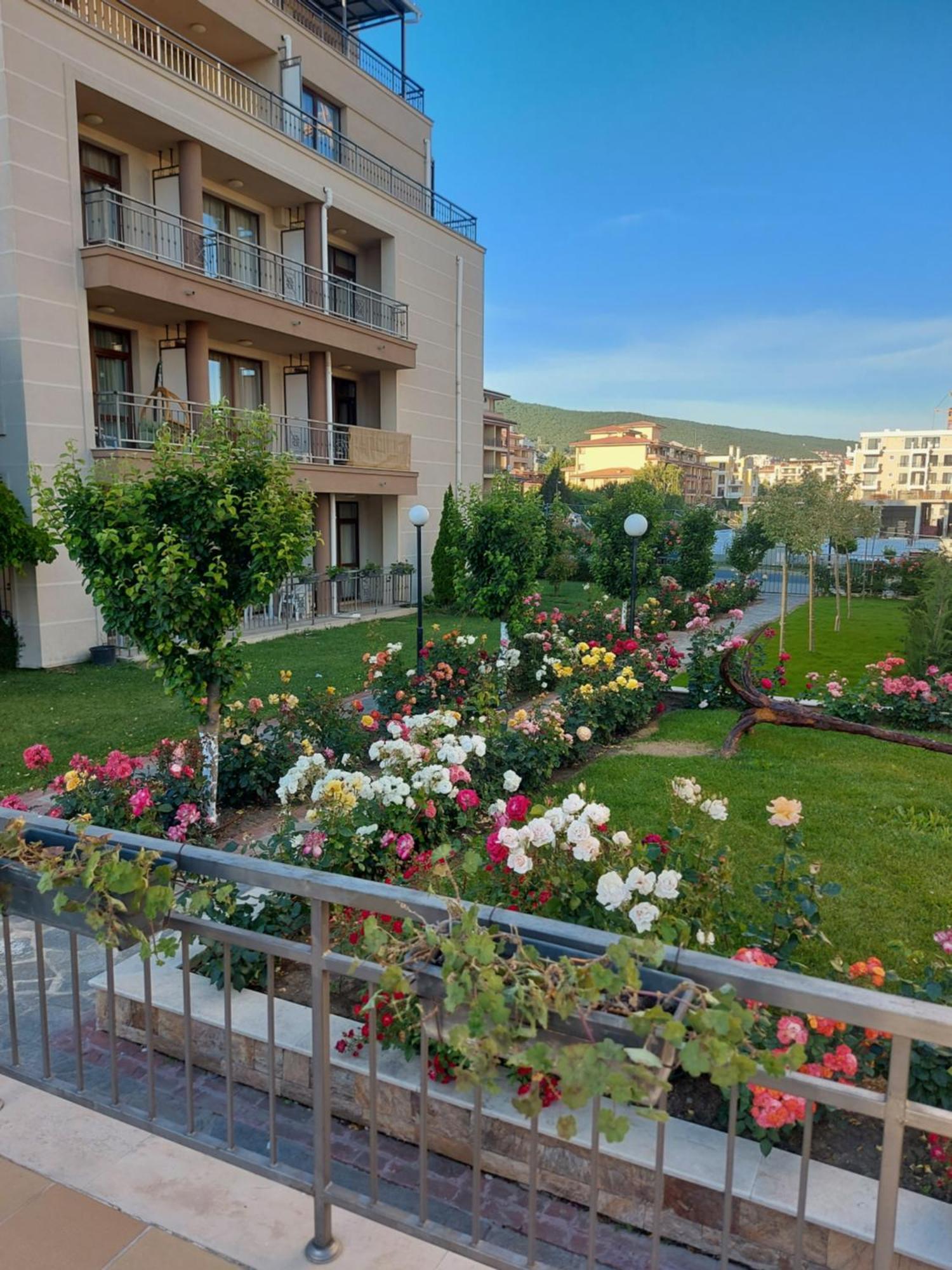 Charming Studio In Sorrento Sole Mare Sveti Vlas Εξωτερικό φωτογραφία